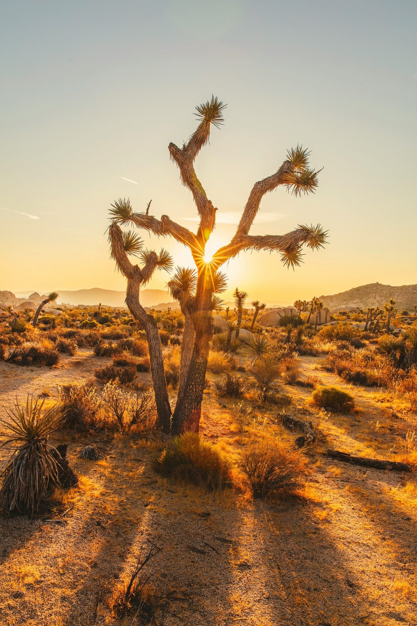 US winter travel destinations