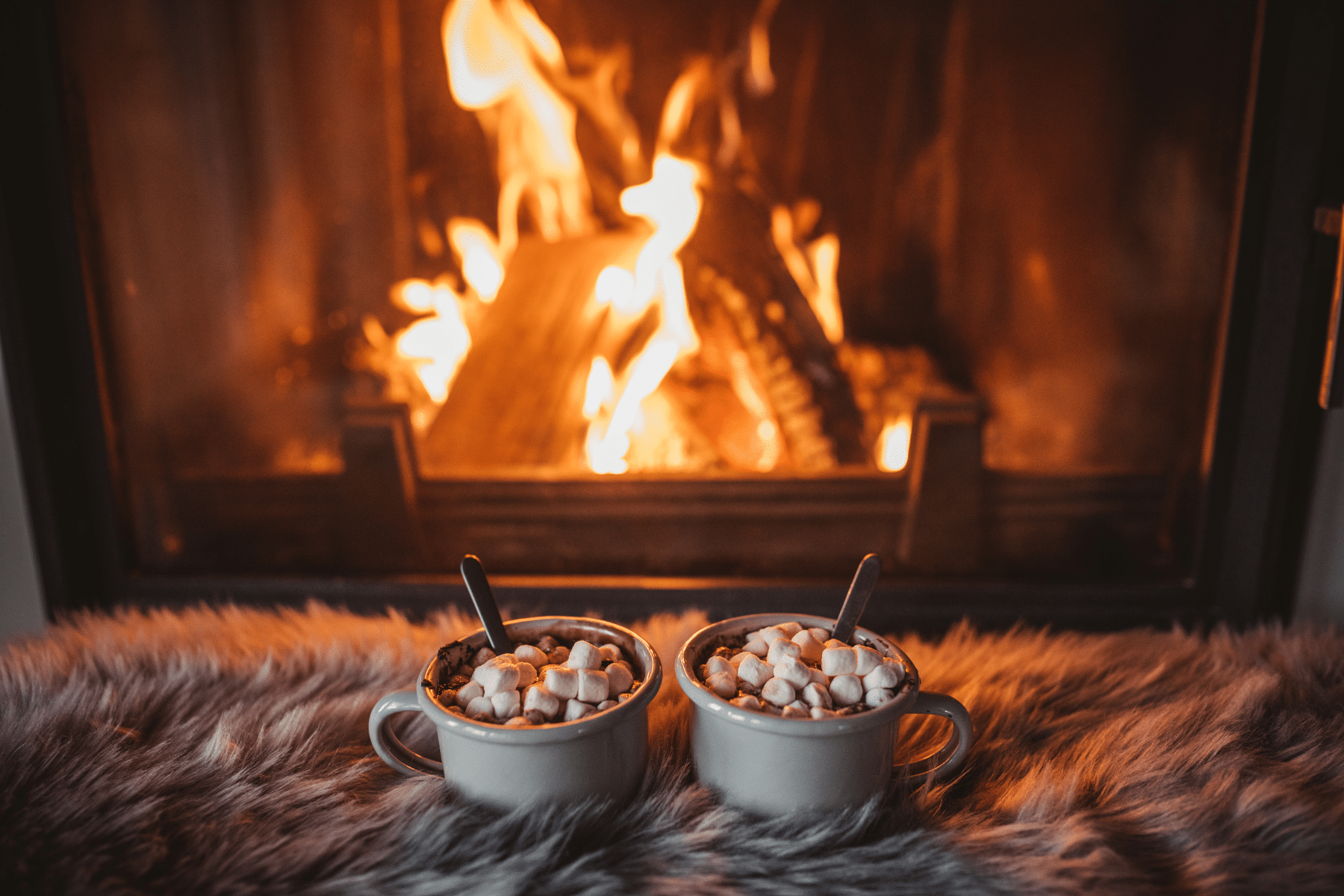 Homebody Gifts | Holiday Gift Guide