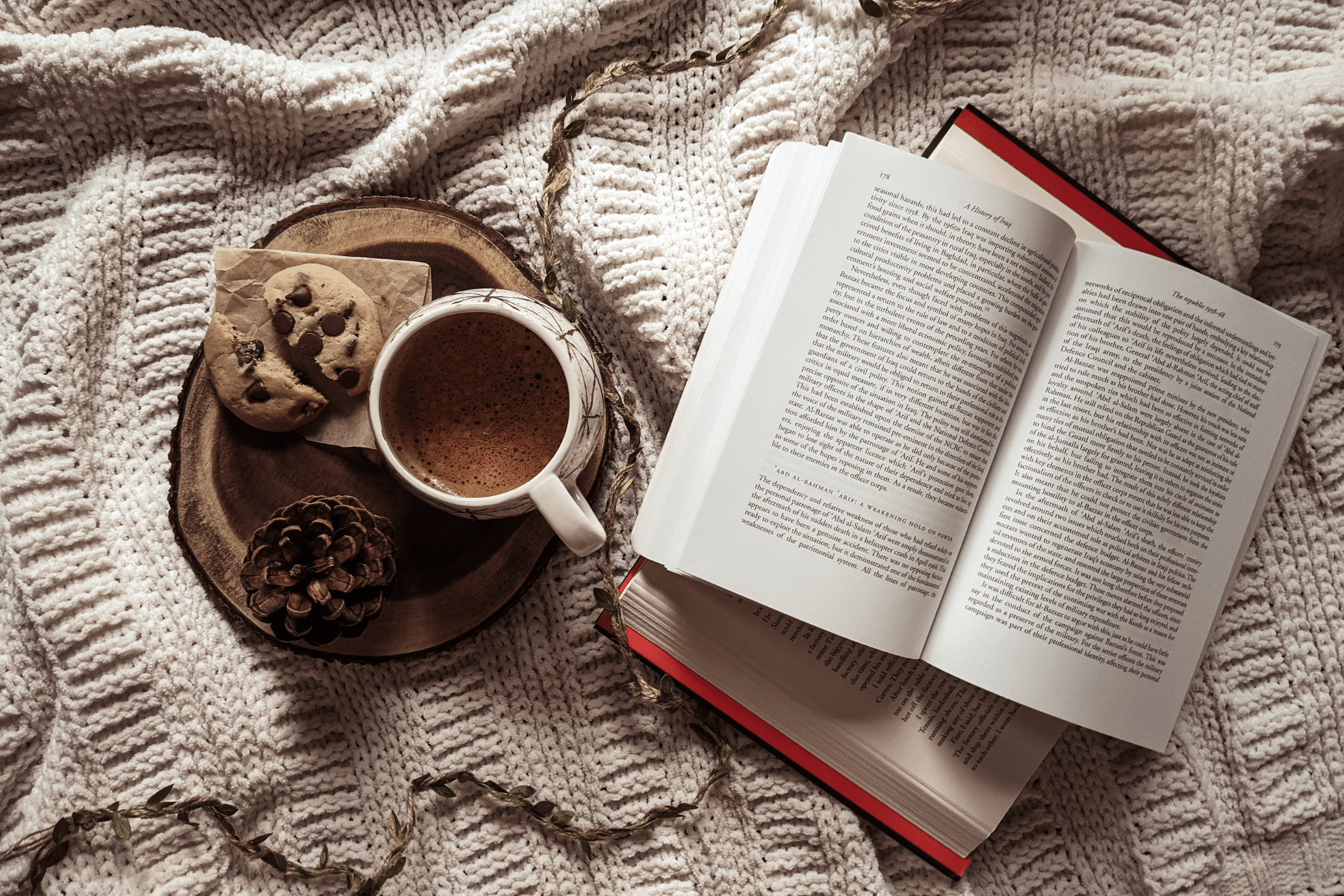 Best Books Every Content Creator Should Read