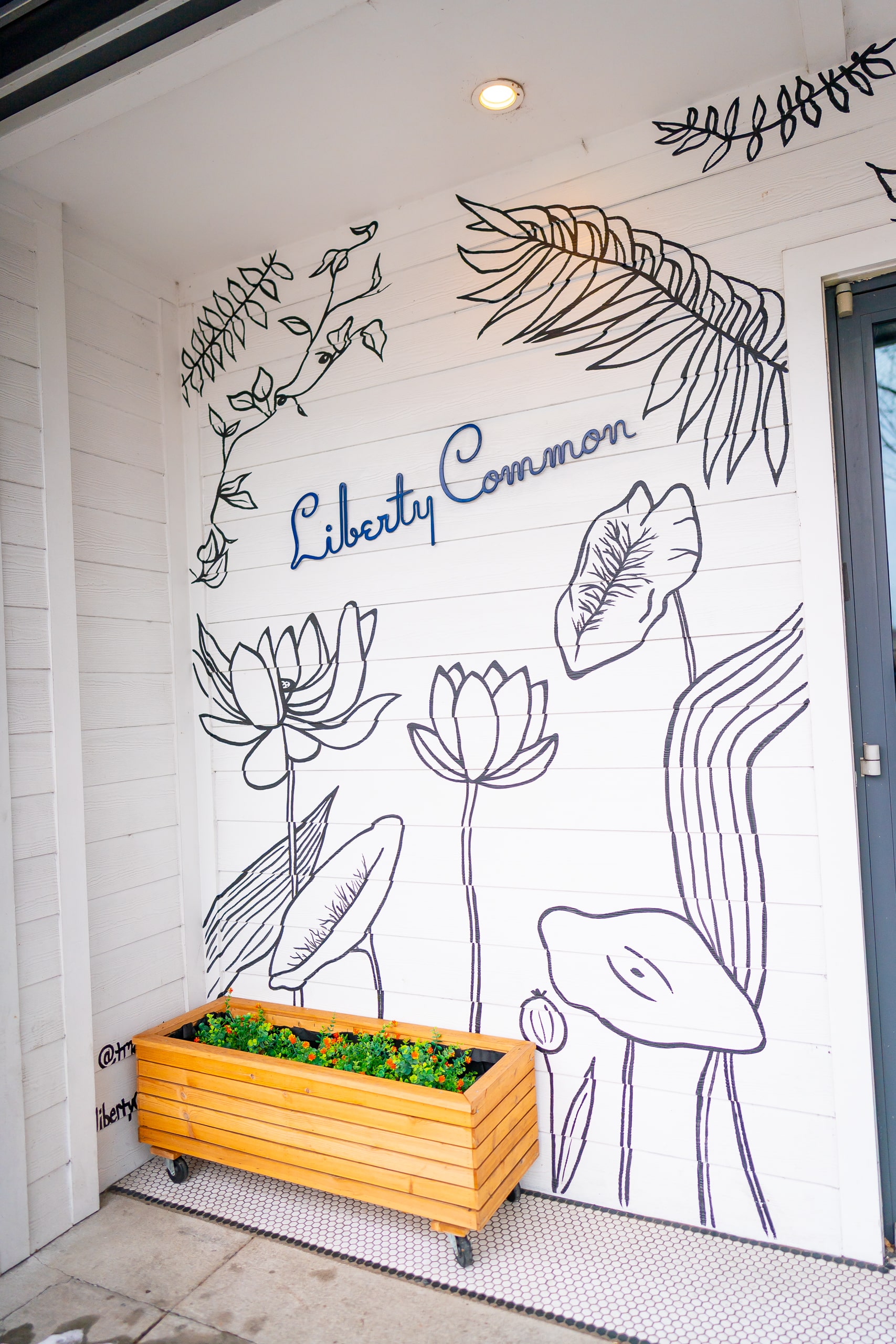 liberary common nashville